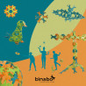 Конструктор Binabo – 60 элементов (4 цвета) от TicToys (Германия)